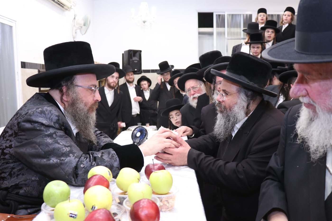 ט"ו בשבט בחצה"ק ביאלה בית שמש