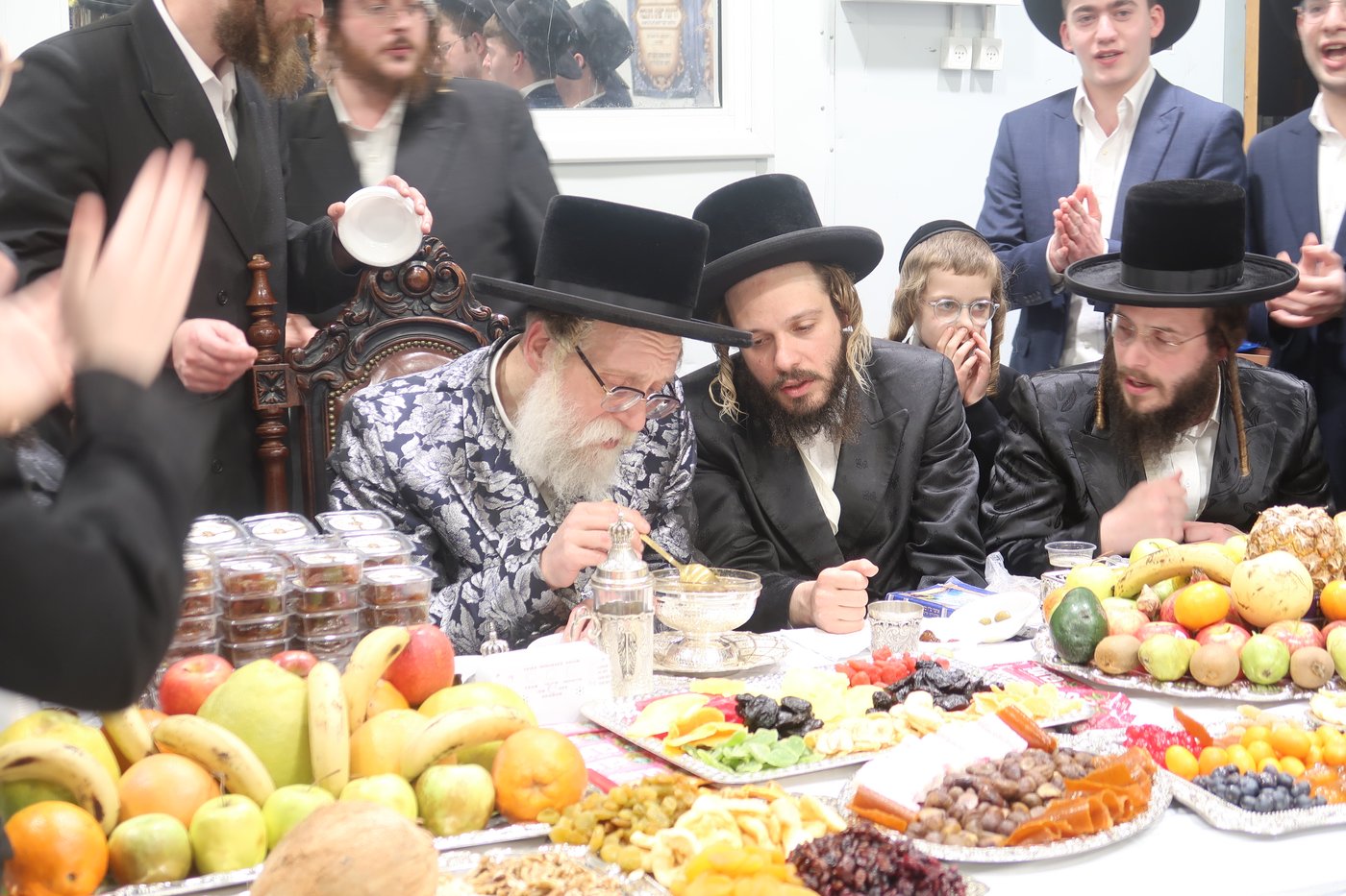 ט"ו בשבט בשאץ דרוהביטש