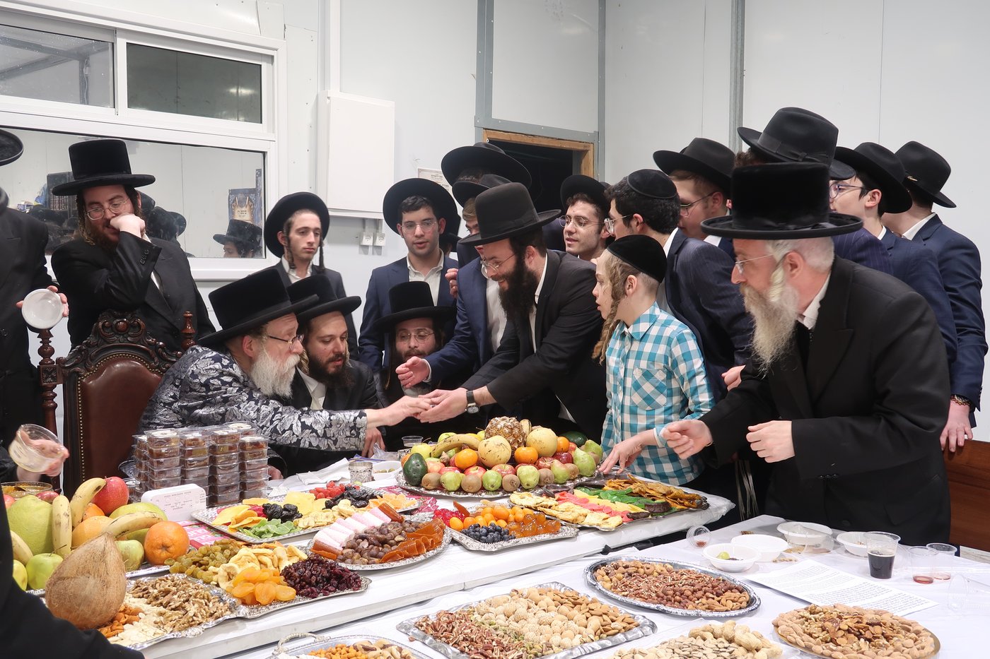 ט"ו בשבט בשאץ דרוהביטש