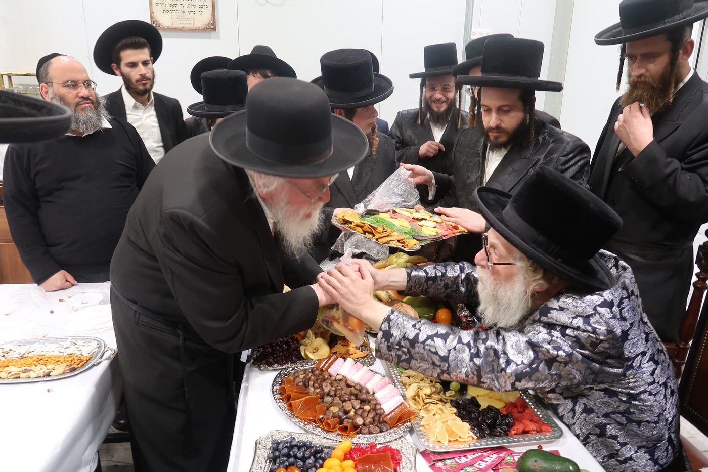 ט"ו בשבט בשאץ דרוהביטש