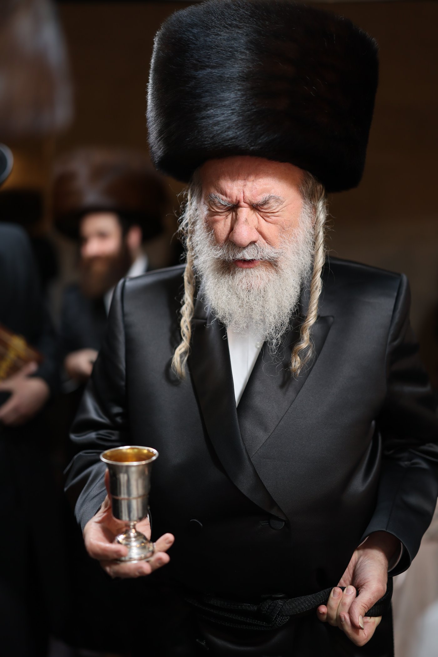 שמחת בית סטרעטין - זוועהיל - אשלג
