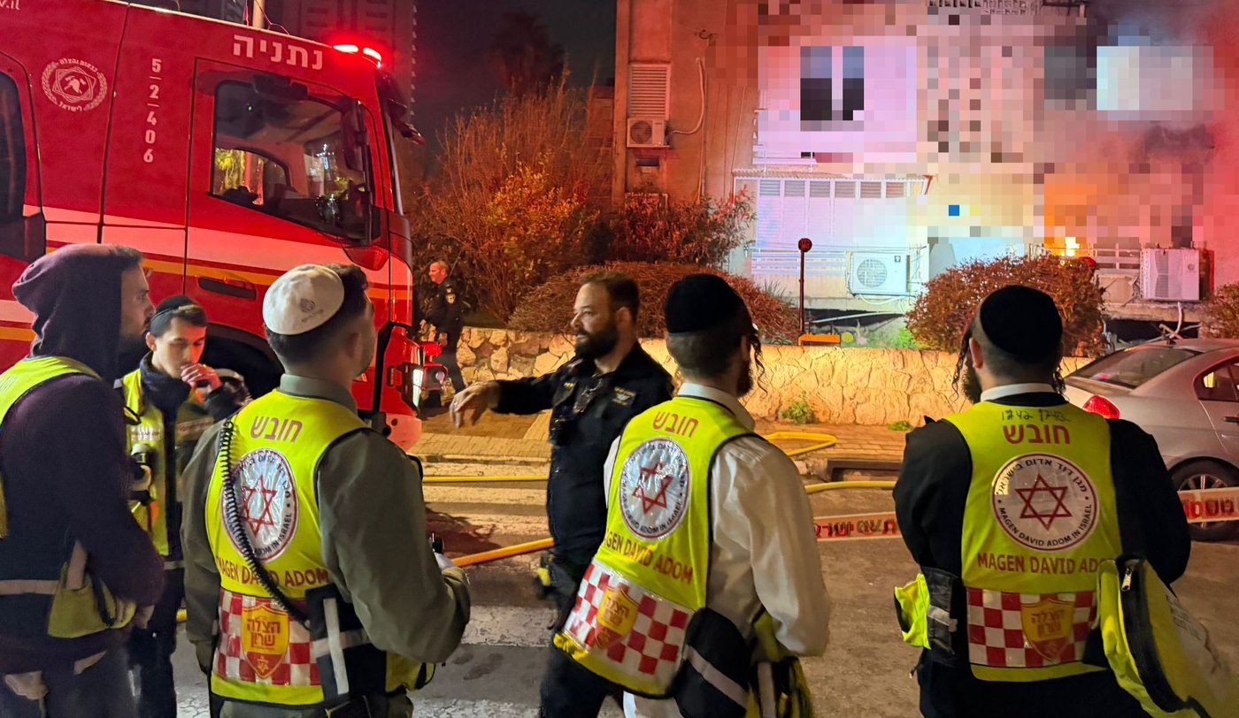 הכוחות בזירה