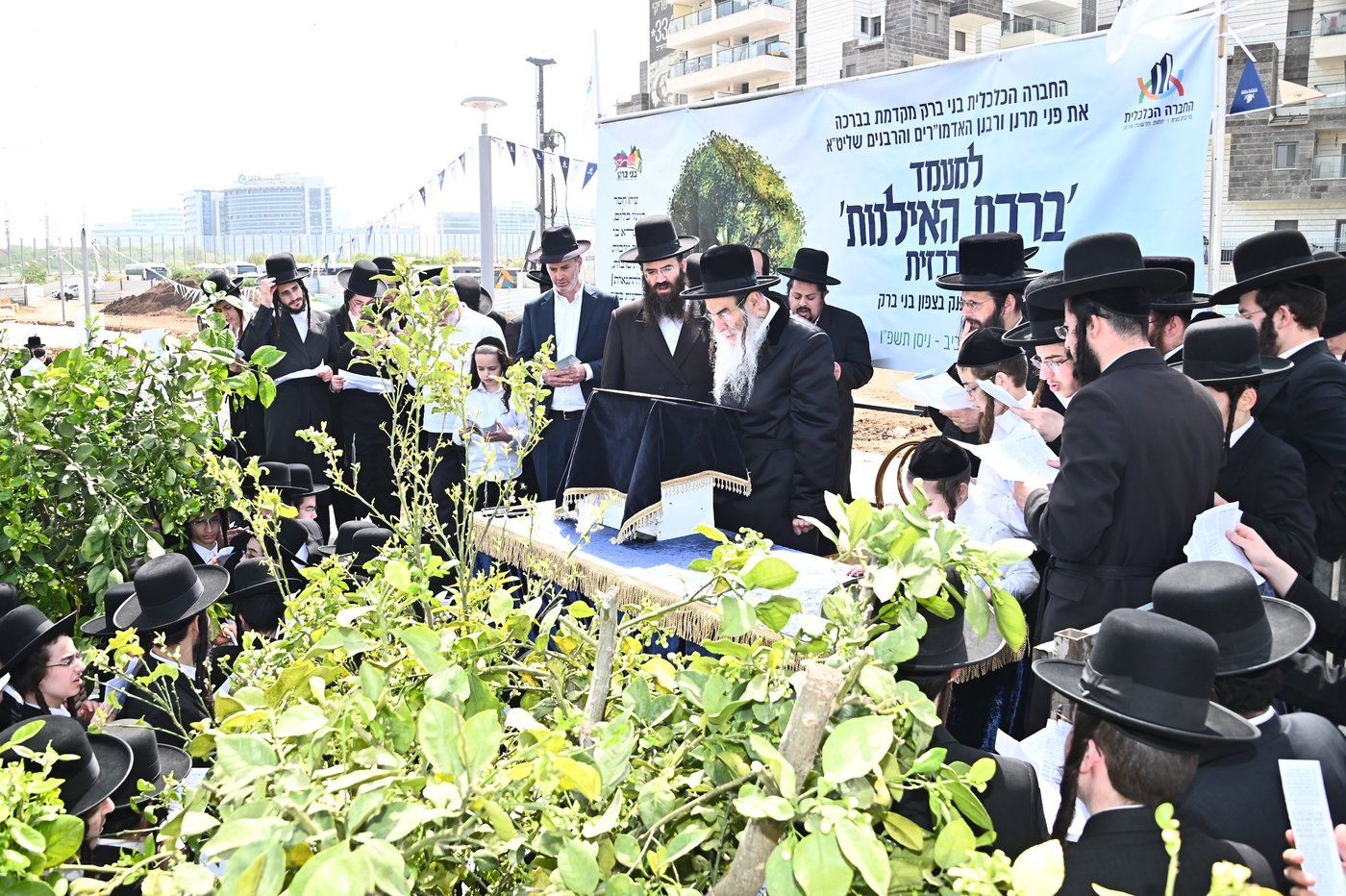 ברכת האילנות במתחם הסופרים בב"ב