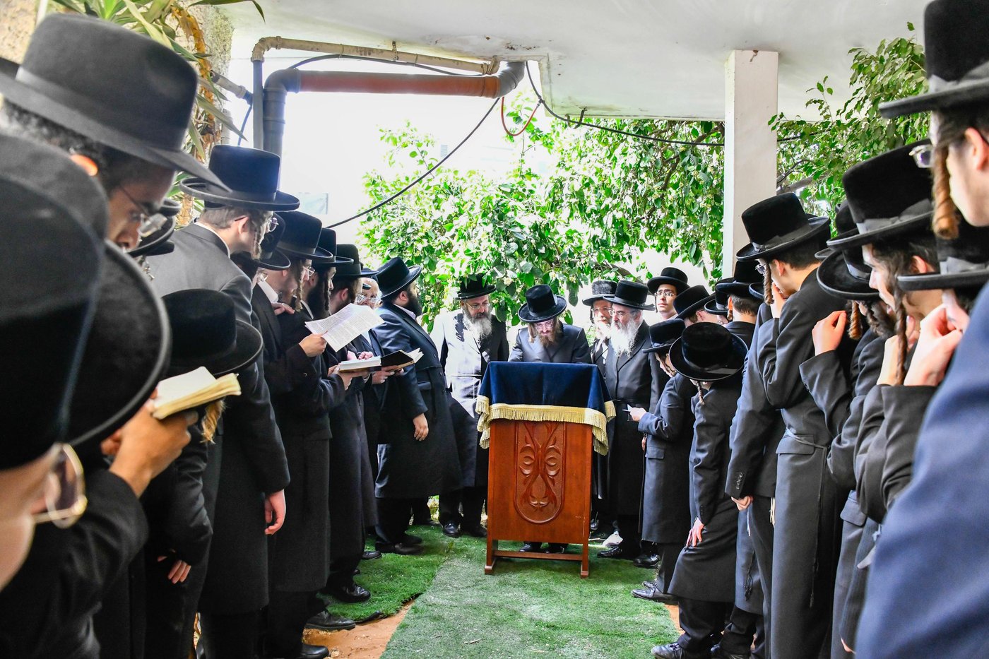 האדמו"ר מסאדיגורה בברכת האילנות 