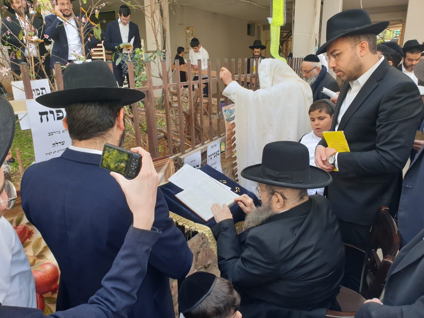הגאון רבי מסעוד בן שמעון בברכת האילנות