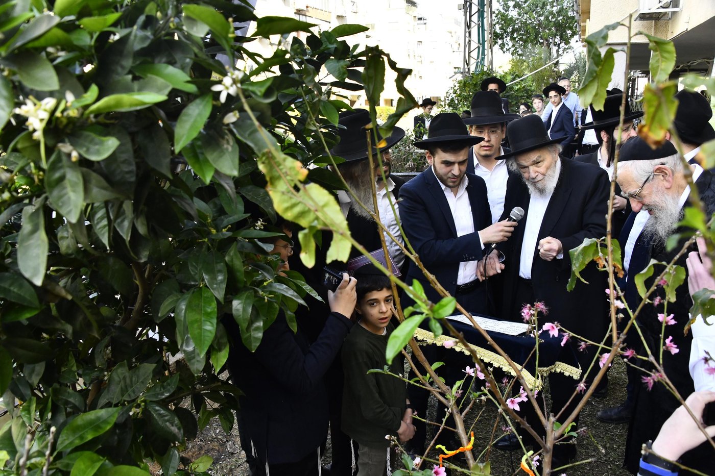 הגרמ"ה הירש בברכת האילנות