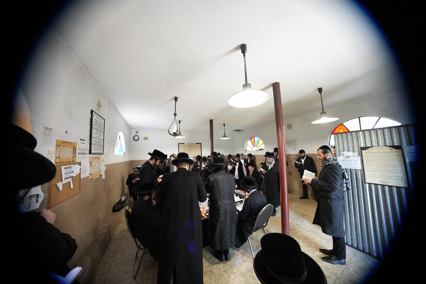 הילולת הרה"ק מרופשיץ בפולין