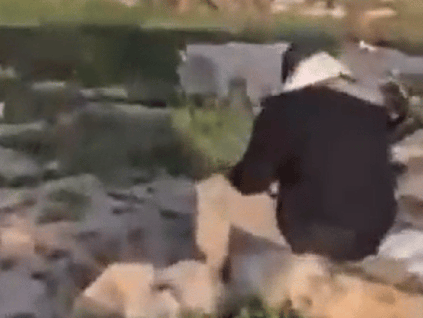 בעל החווה שהותקף על ידי הפעיל השמאלני