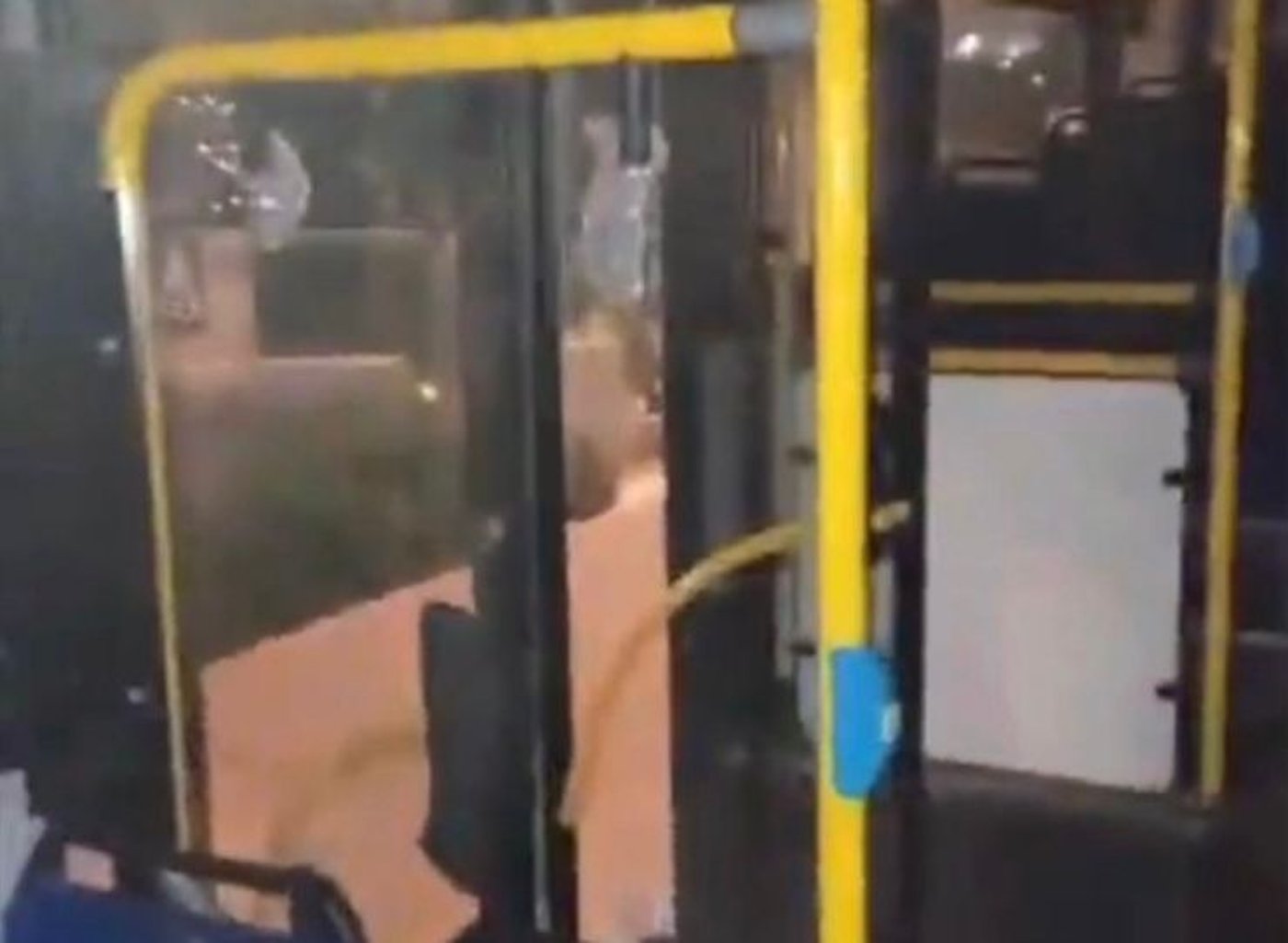 הנזקים שגרמו הנערים