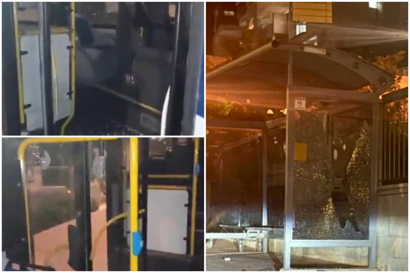 הנזקים שגרמו הנערים