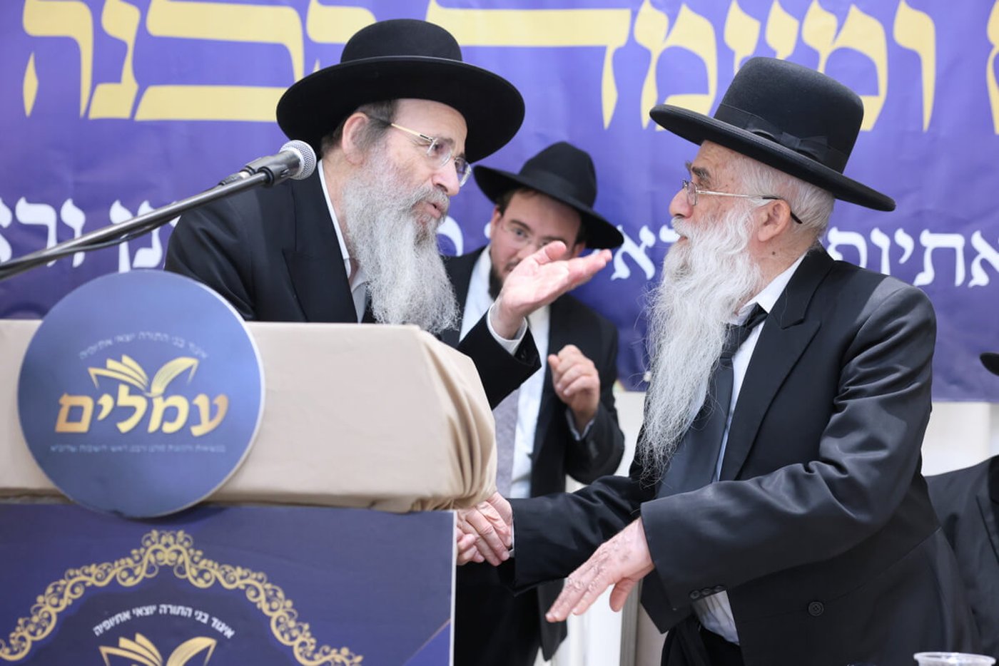 כינוס איגוד 'עמלים'