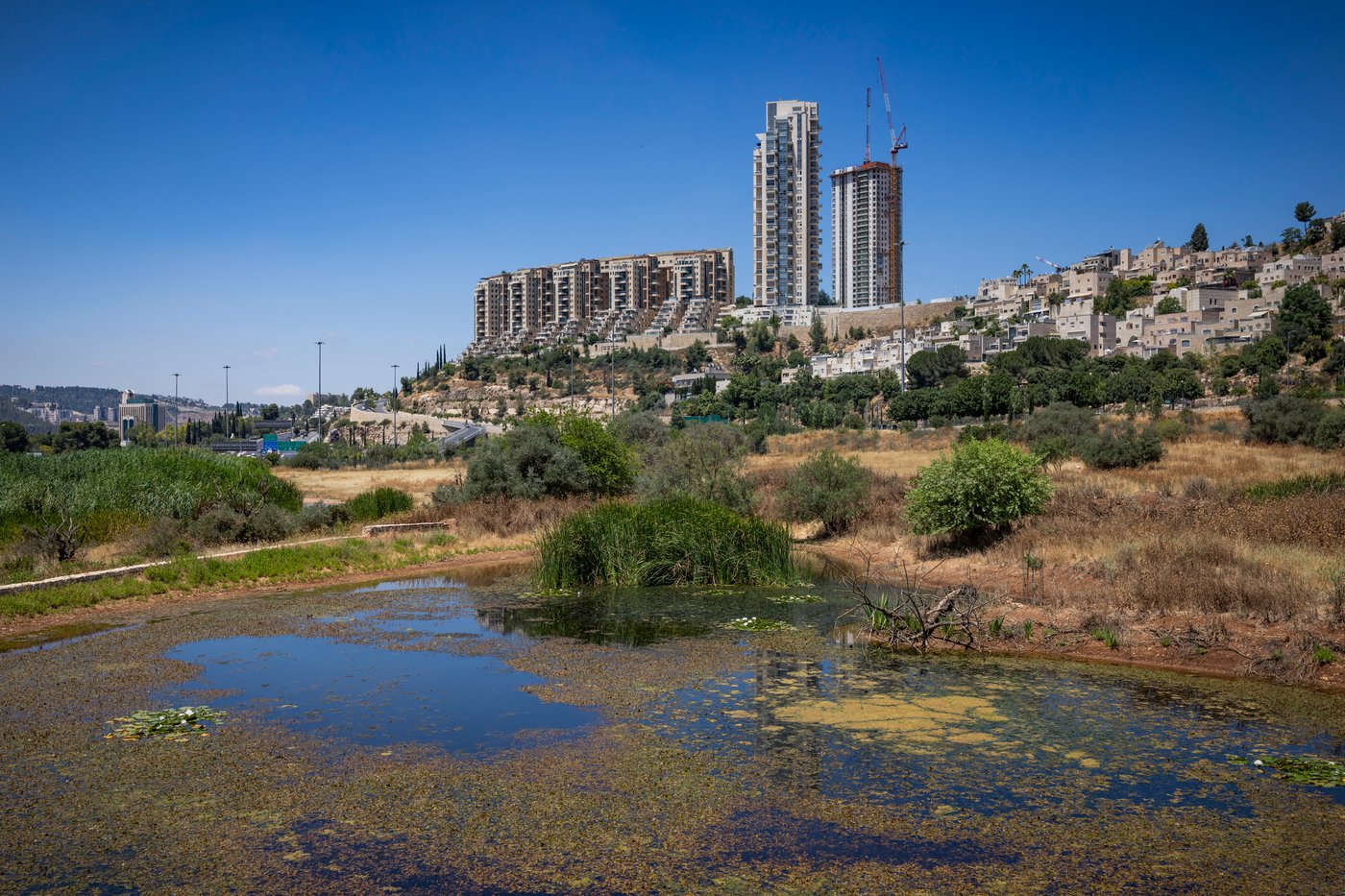 ירושלים בשבוע שעבר