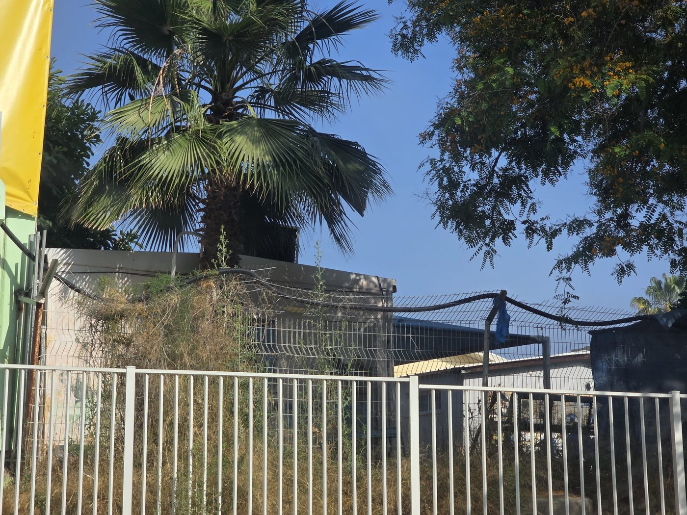 ת"ת אור דוד ביבנה