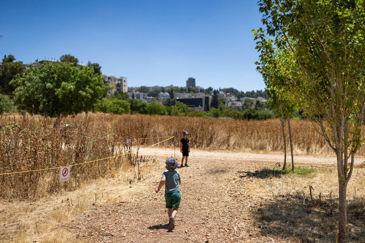 מטפטופים בבוקר ועד להתחממות: התהפוכות של מזג האוויר השבוע