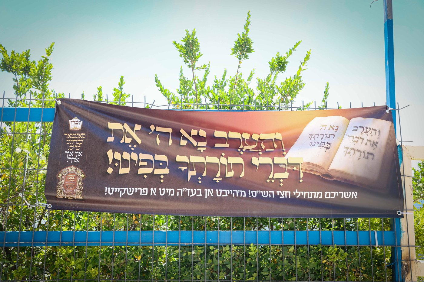 שבת התאחדות של סאטמר בצפת