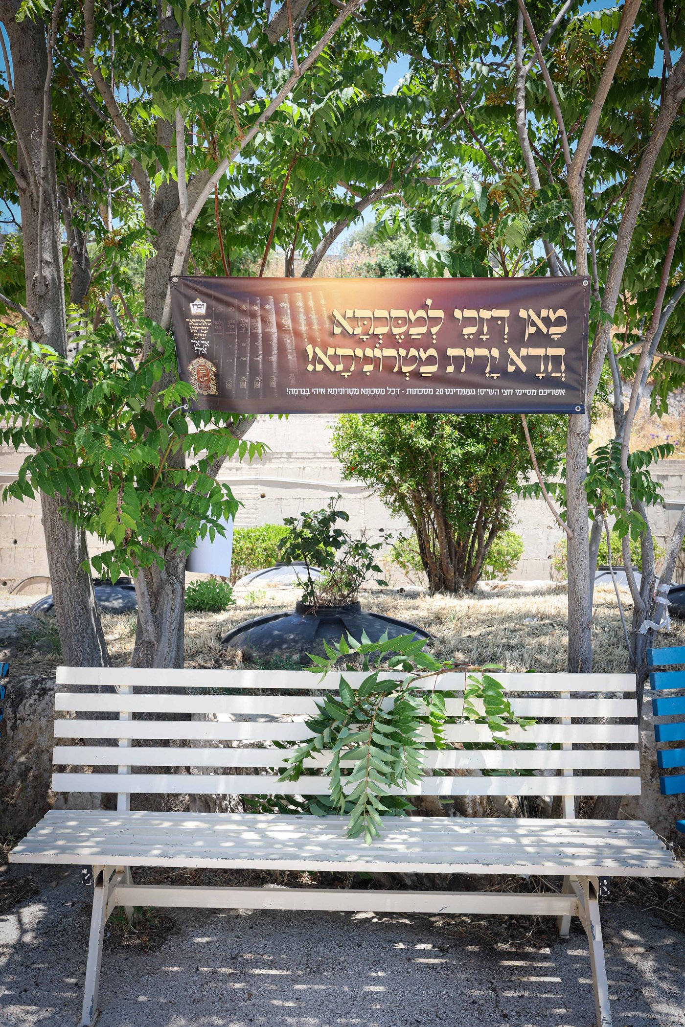 שבת התאחדות של סאטמר בצפת