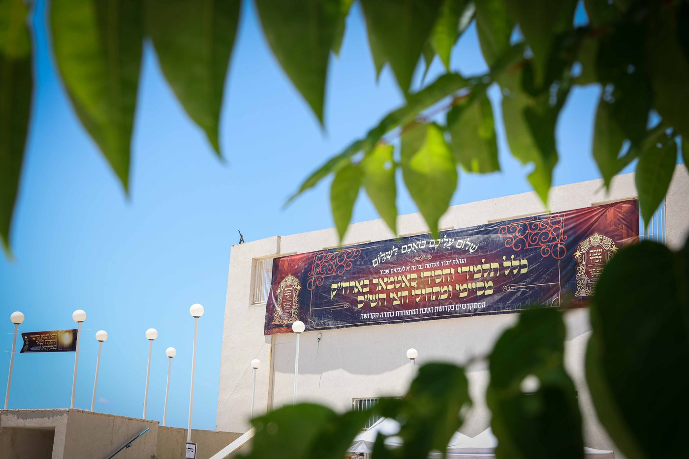 שבת התאחדות של סאטמר בצפת