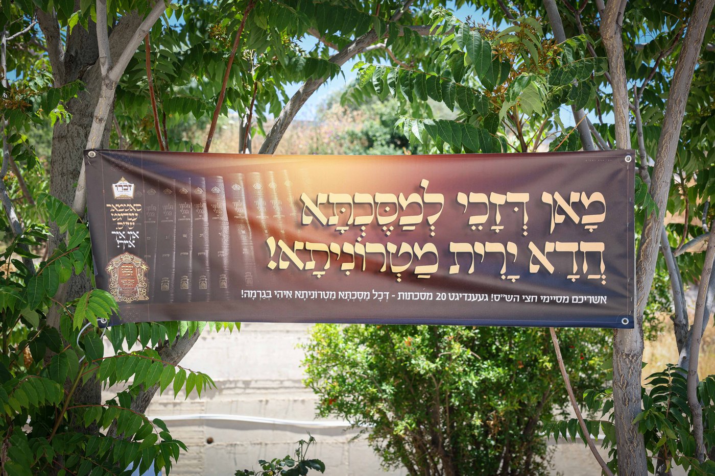 שבת התאחדות של סאטמר בצפת