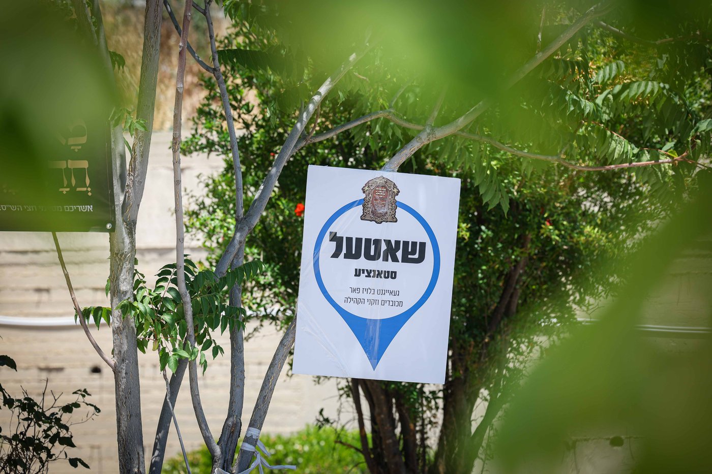 שבת התאחדות של סאטמר בצפת