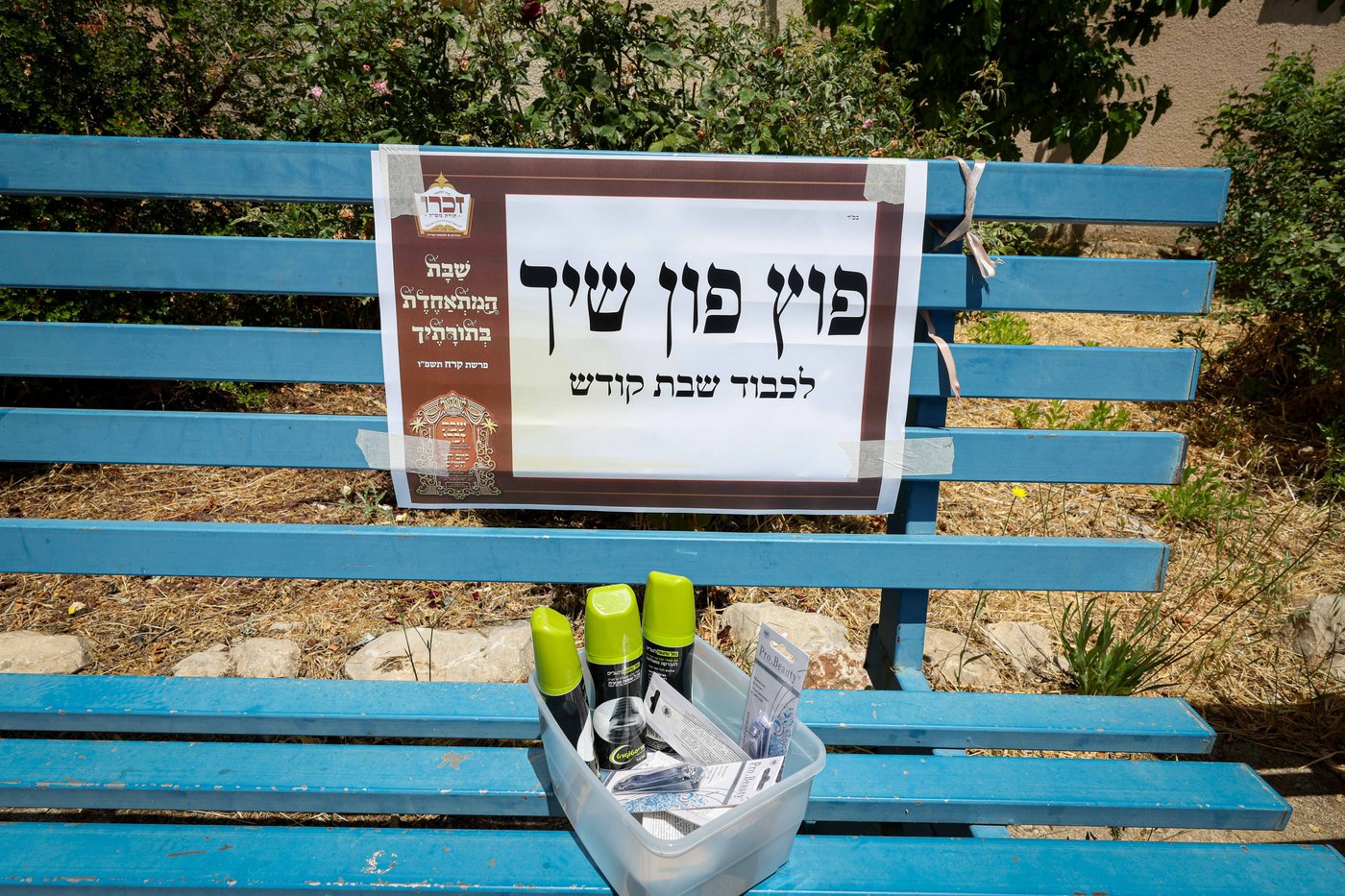 שבת התאחדות של סאטמר בצפת