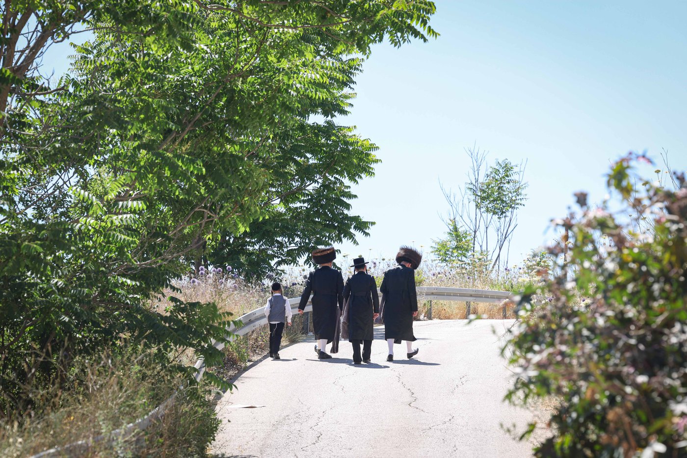 שבת התאחדות של סאטמר בצפת