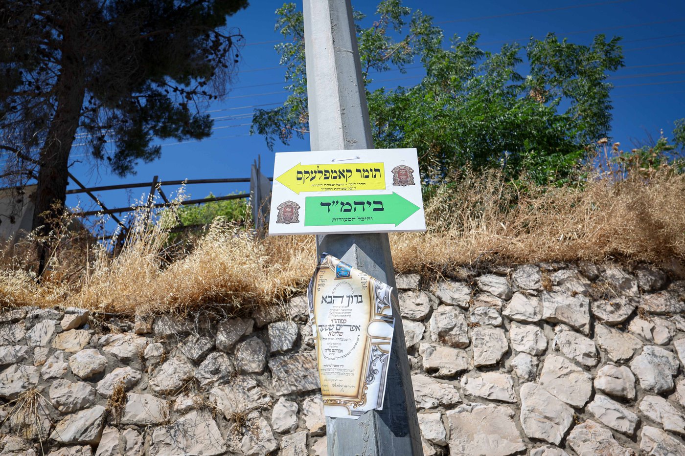 שבת התאחדות של סאטמר בצפת