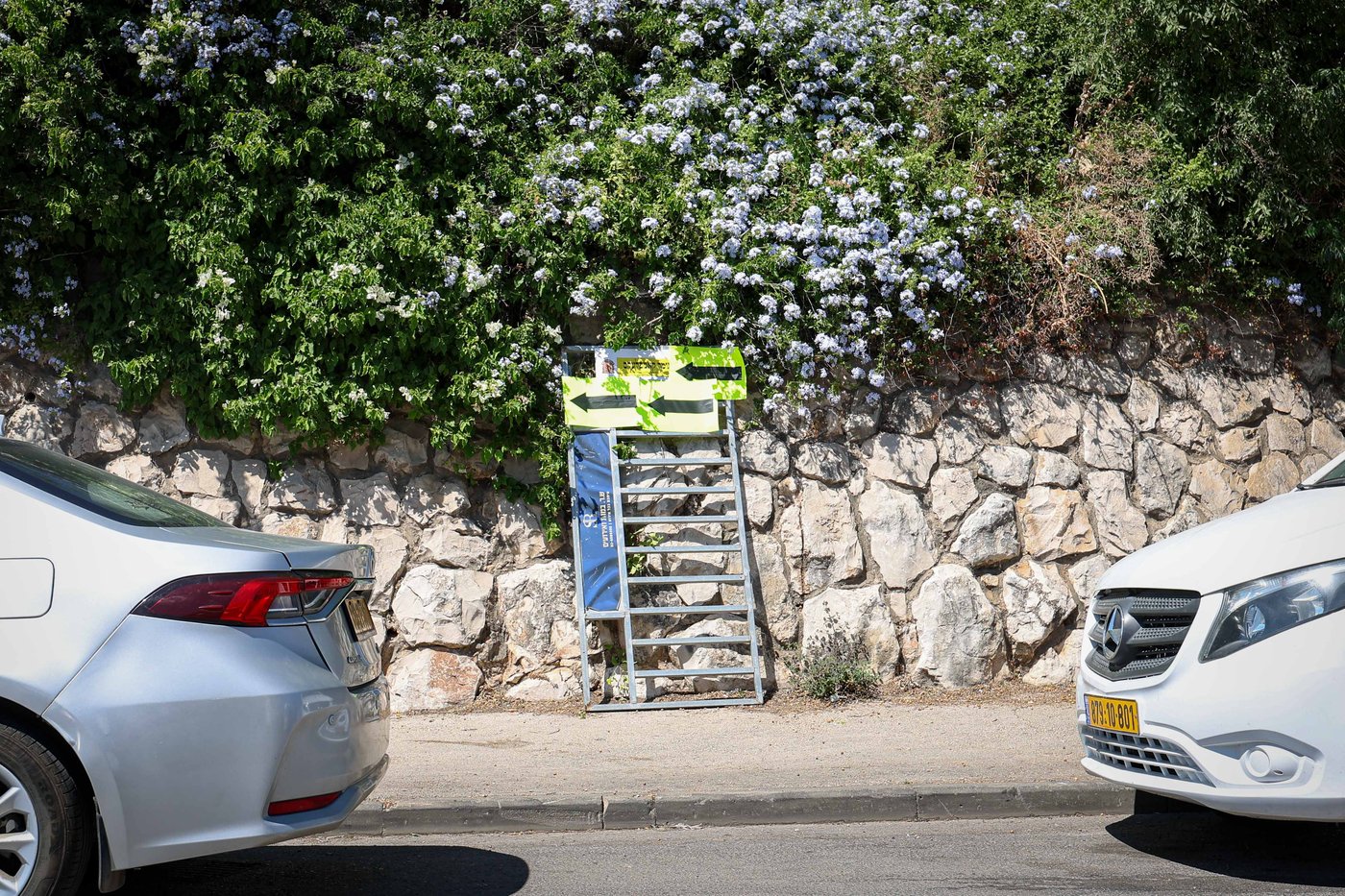 שבת התאחדות של סאטמר בצפת