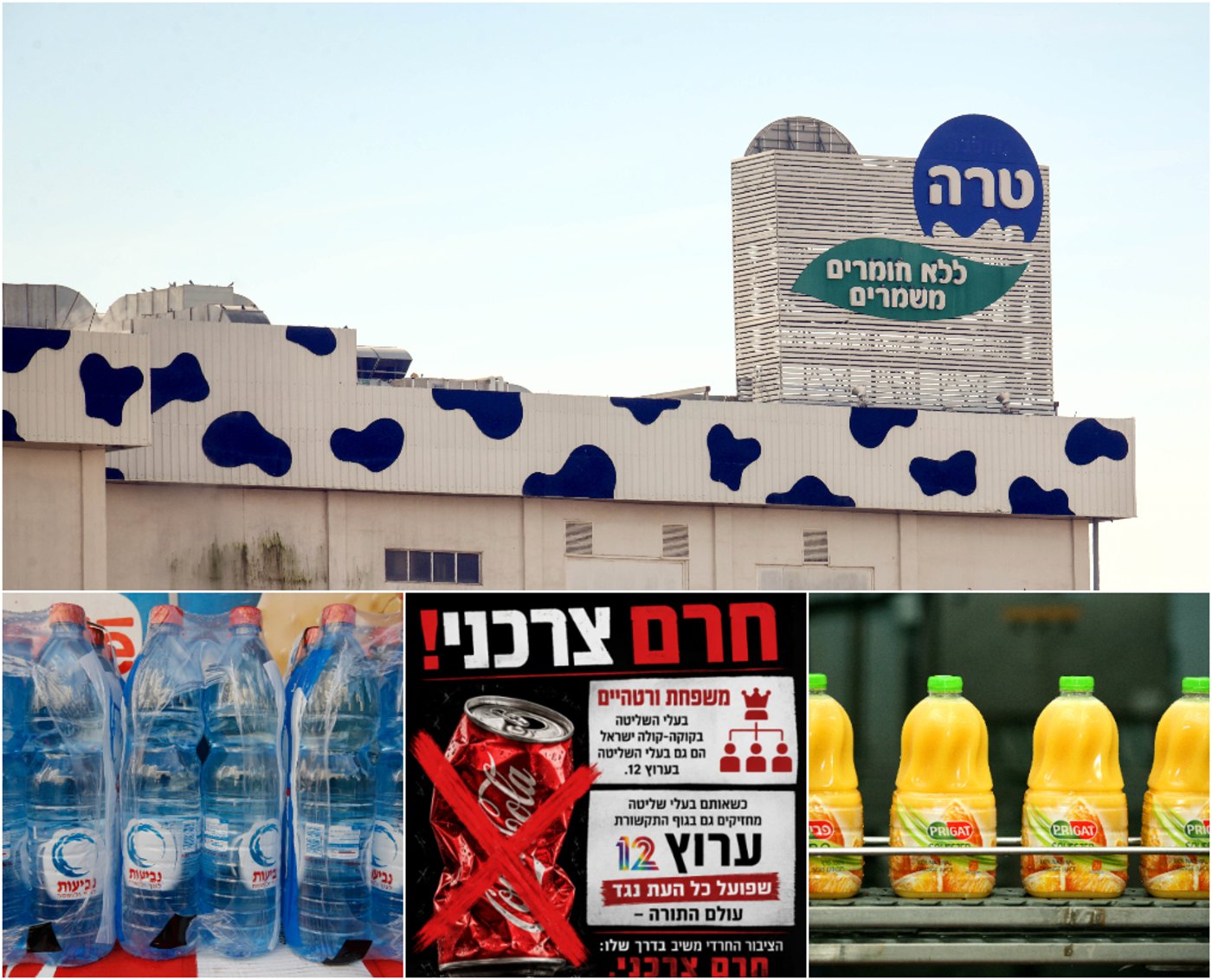 טרה