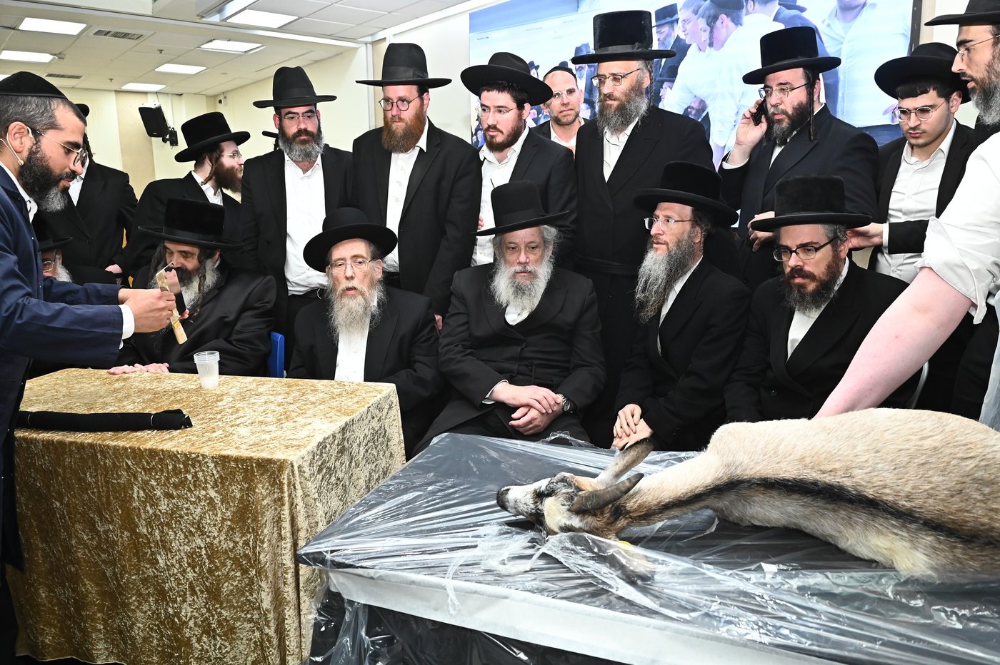 מעמד שחיטת כבש בבני ברק