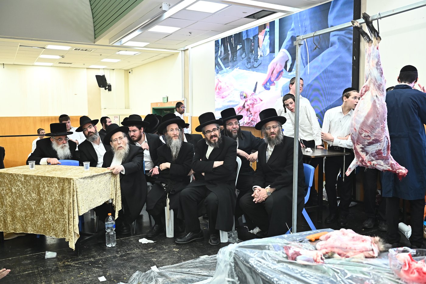 מעמד שחיטת כבש בבני ברק