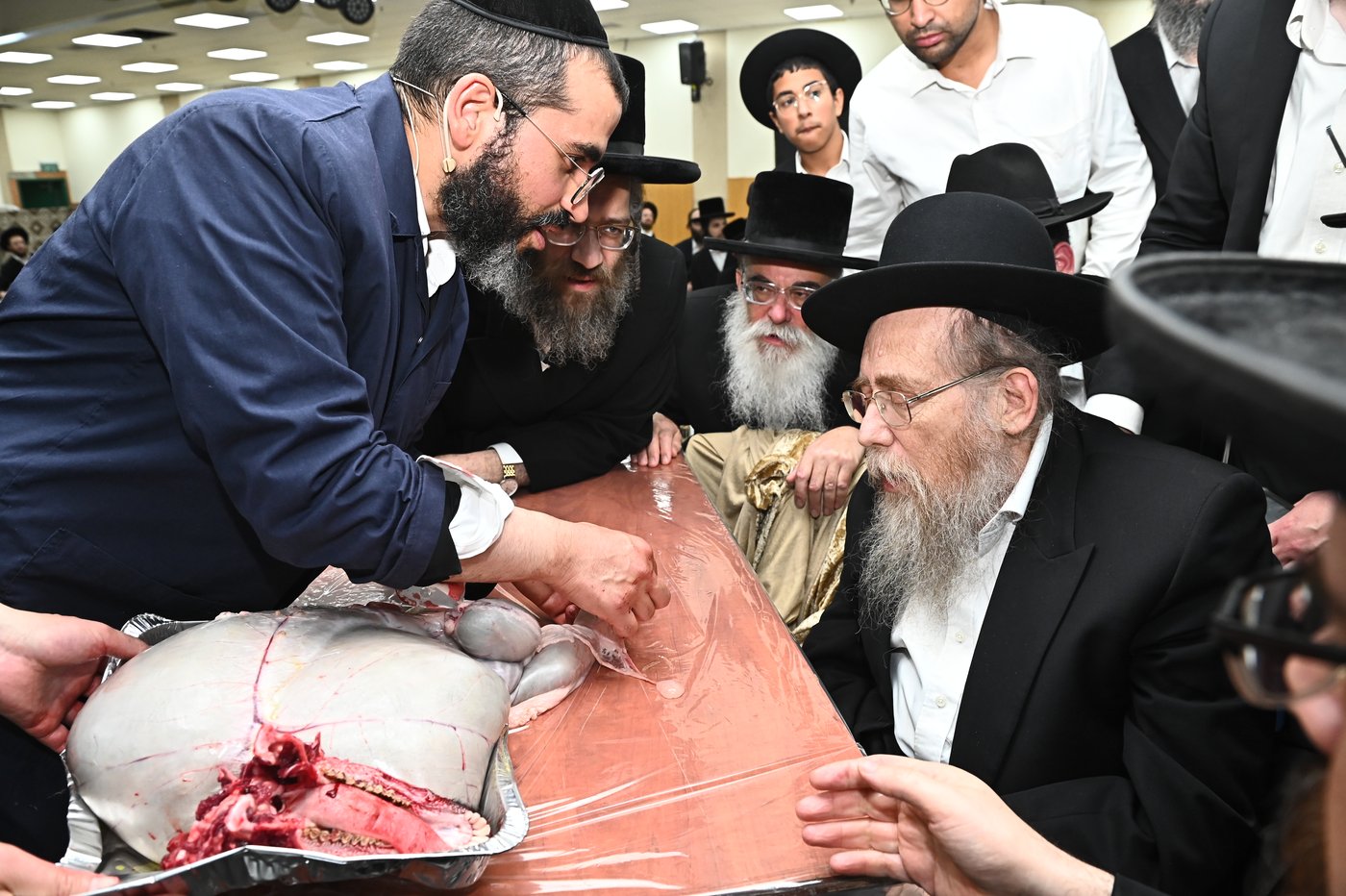 מעמד שחיטת כבש בבני ברק