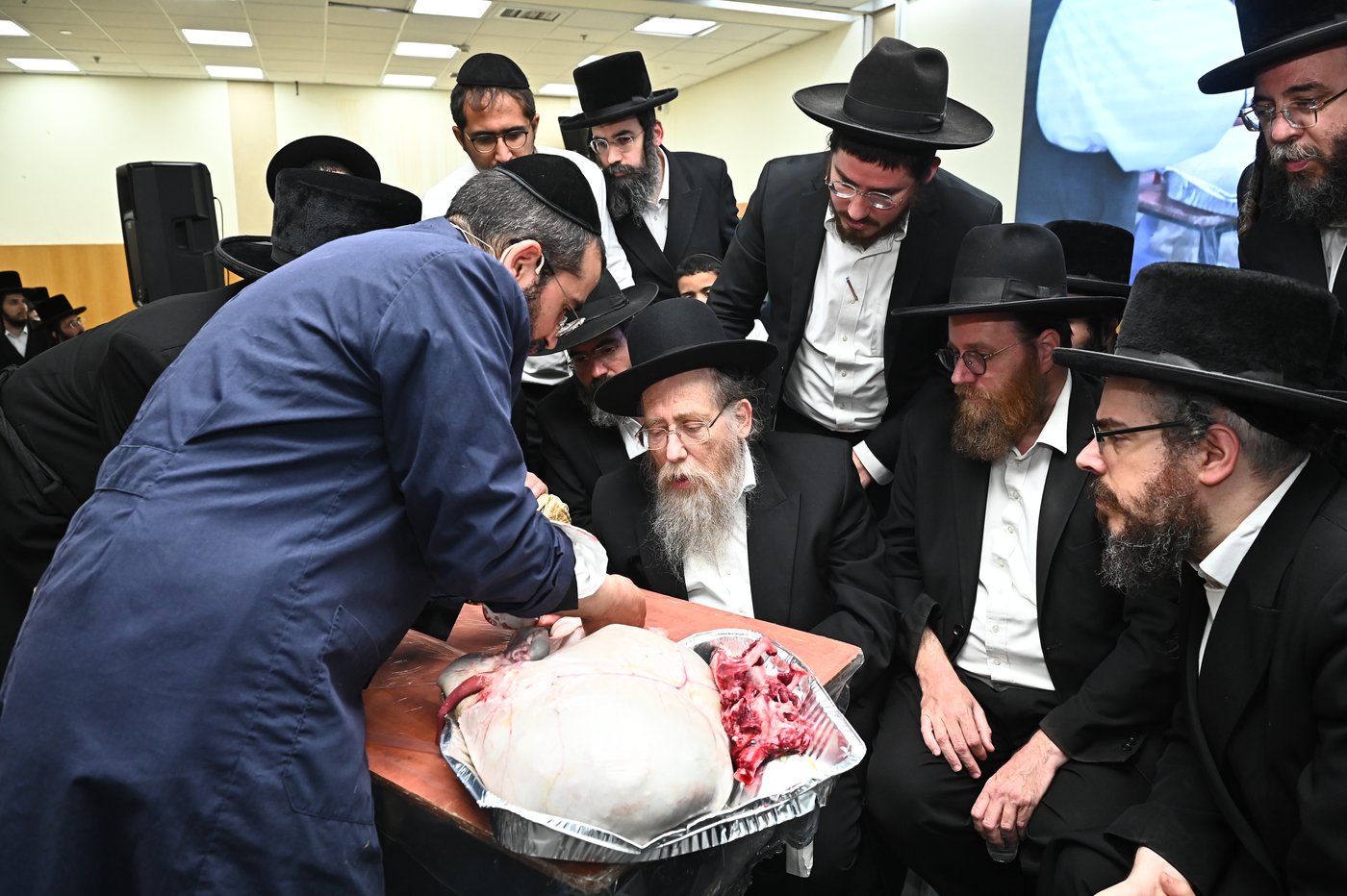 מעמד שחיטת כבש בבני ברק