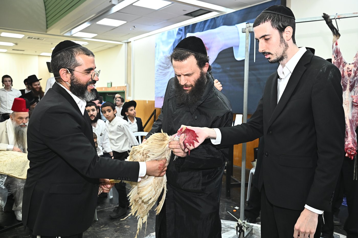 מעמד שחיטת כבש בבני ברק