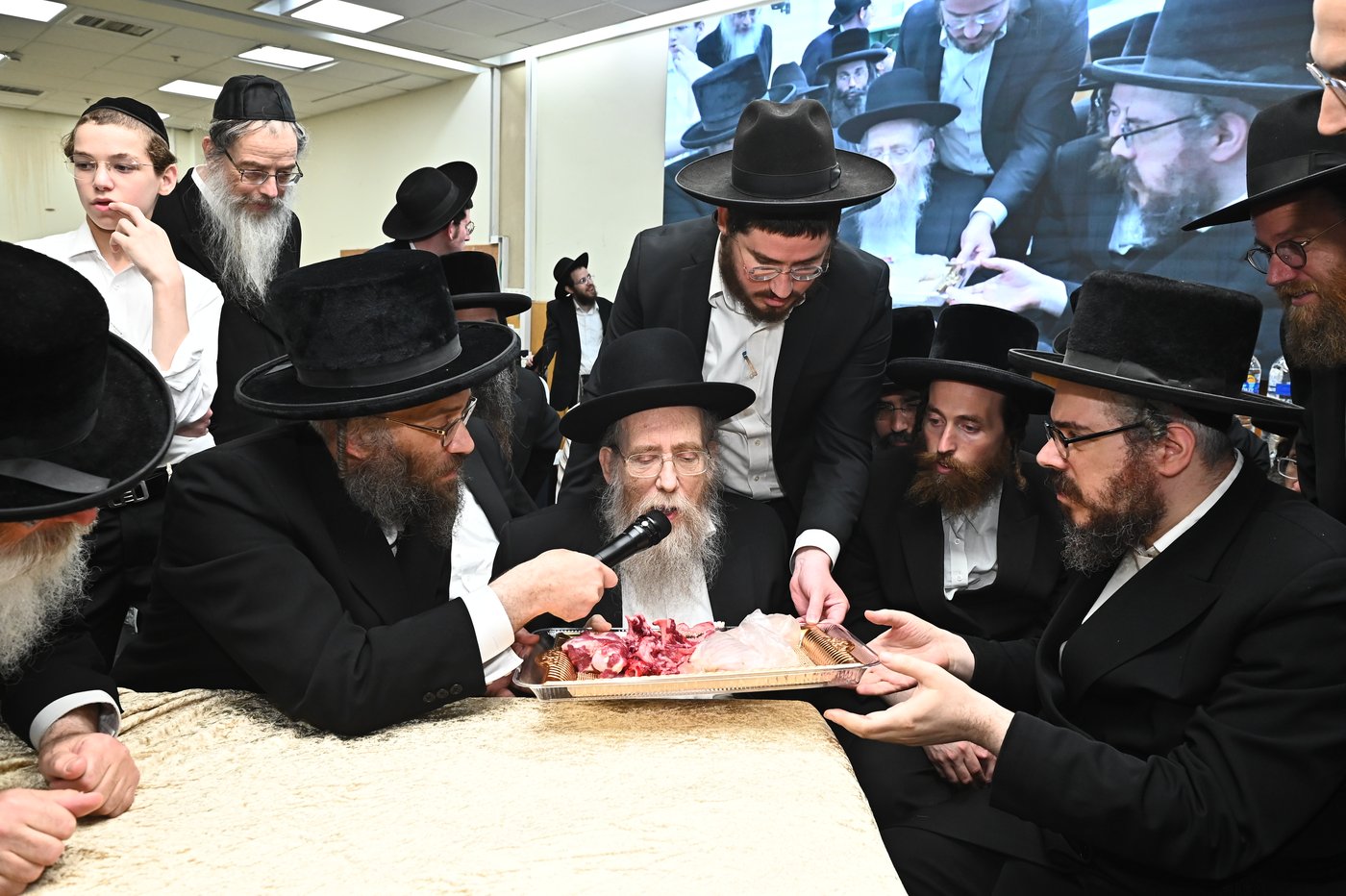 מעמד שחיטת כבש בבני ברק