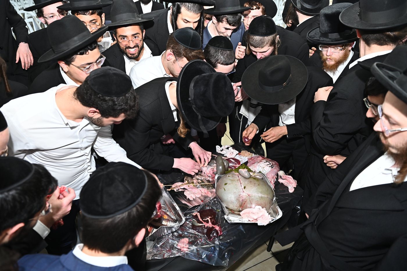 מעמד שחיטת כבש בבני ברק