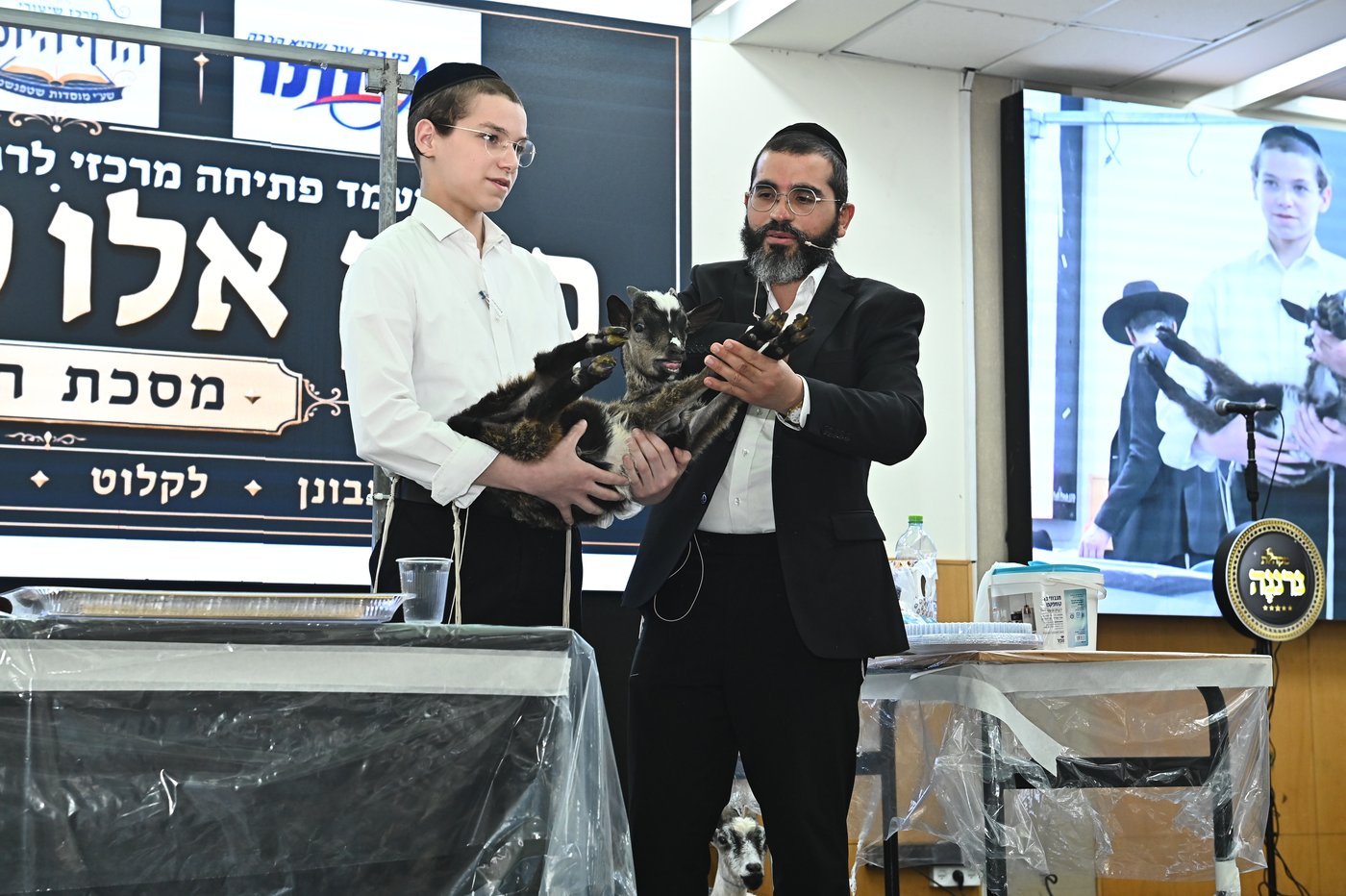 מעמד שחיטת כבש בבני ברק