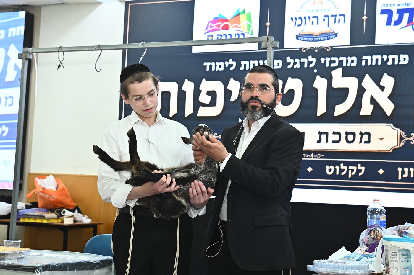 מעמד שחיטת כבש בבני ברק