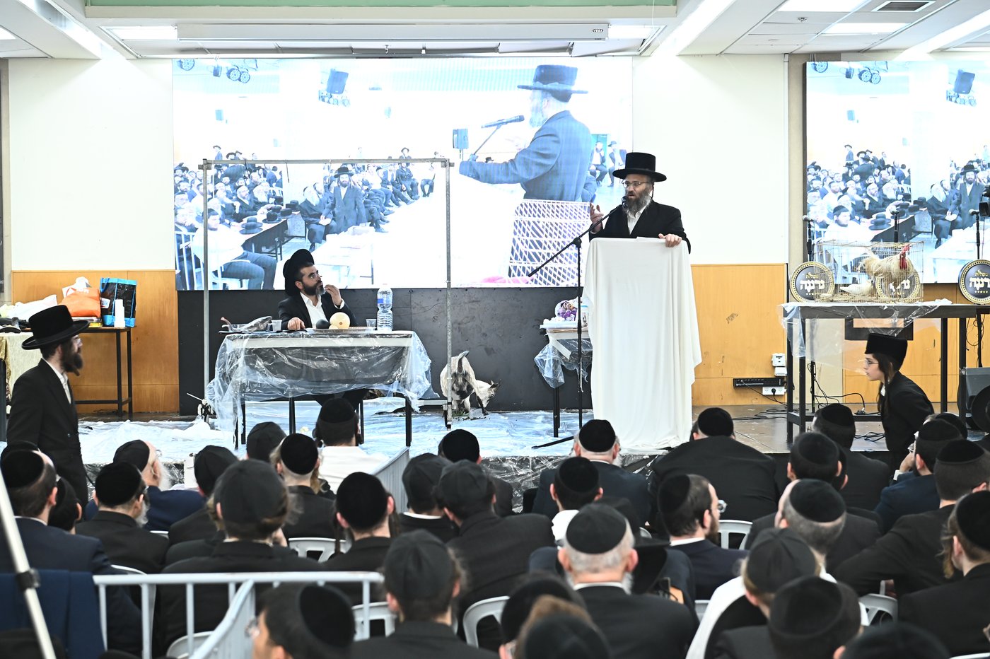 מעמד שחיטת כבש בבני ברק