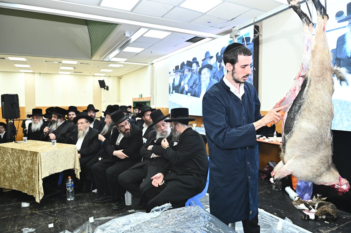 מעמד שחיטת כבש בבני ברק