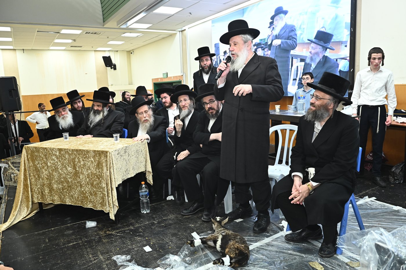 מעמד שחיטת כבש בבני ברק