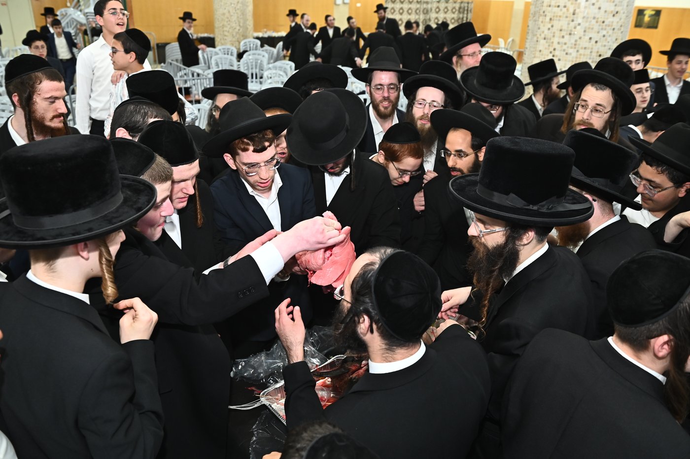 מעמד שחיטת כבש בבני ברק