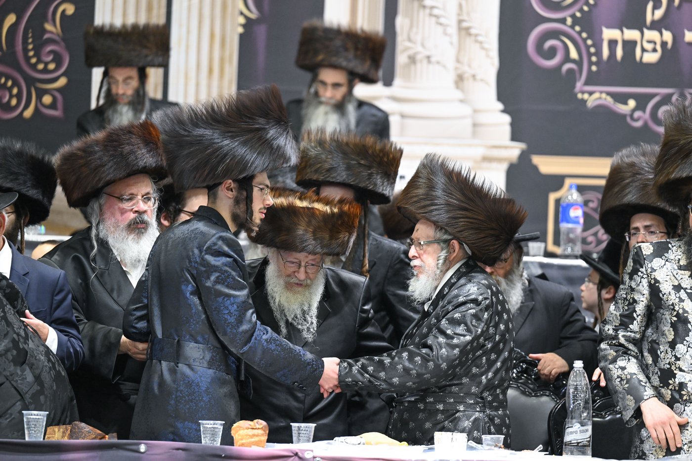 שמחת בית צאנז