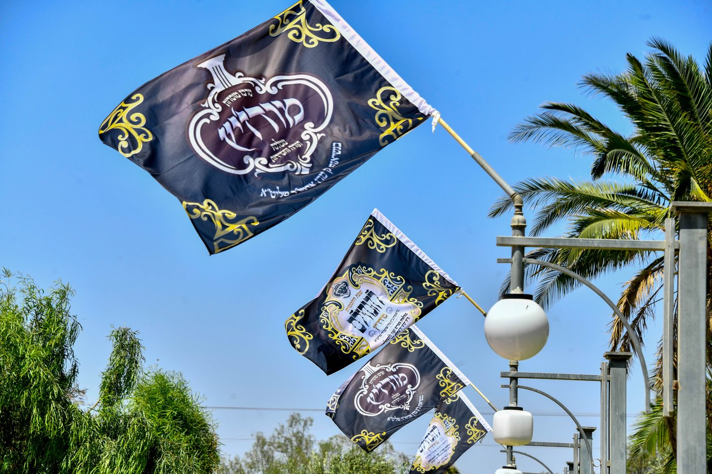 שבת התאחדות במודז'יץ