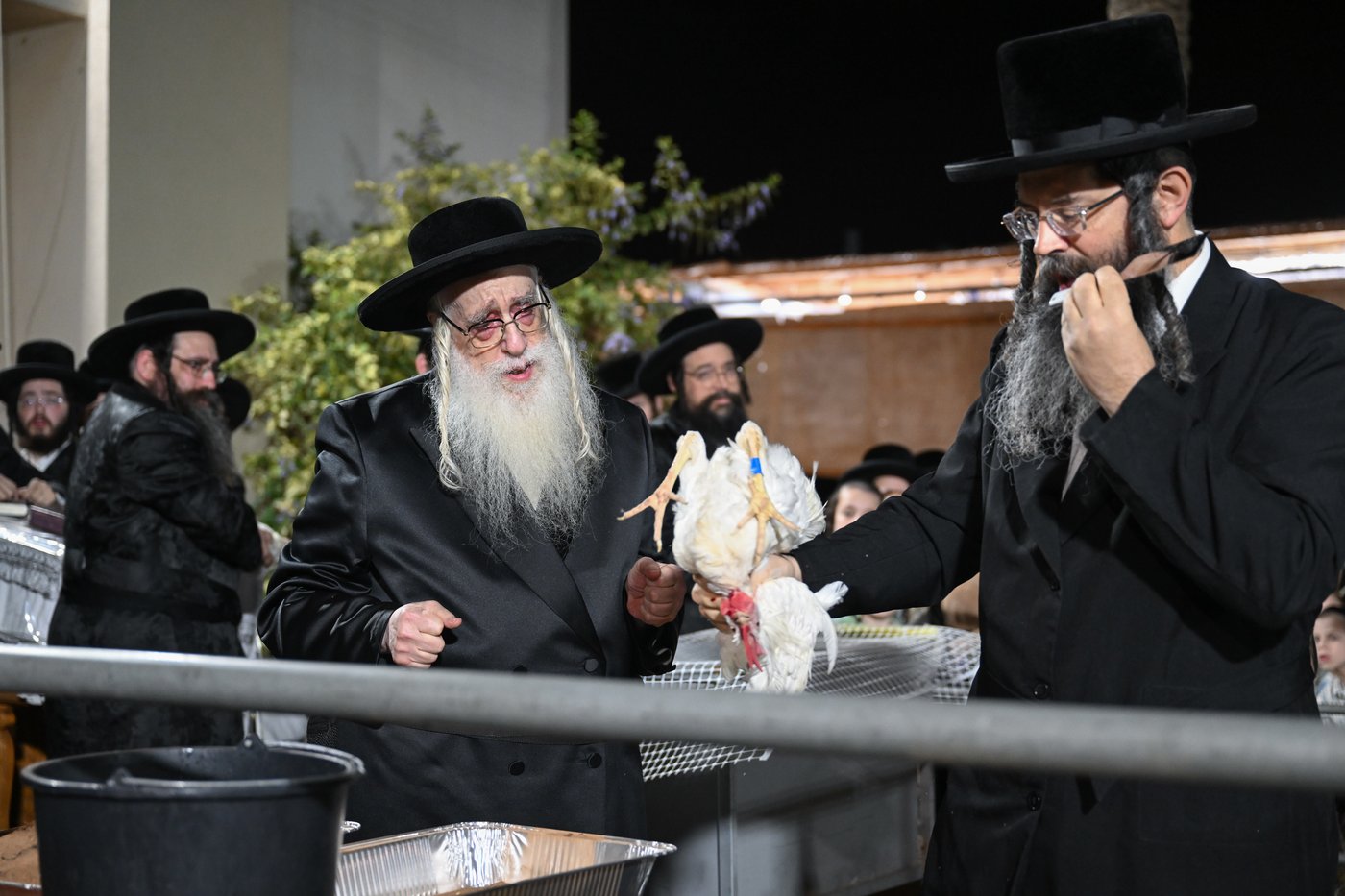 האדמו"ר מצאנז בשחיטת התרנגול בערב יום כיפור
