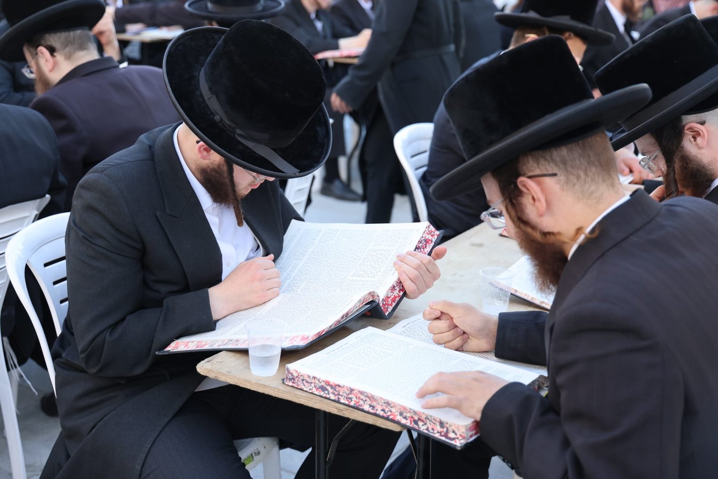 עם גמרות, חברותות ושלטים: הפגנת ויז'ניץ מרכז מול משרד היועמ"שית 