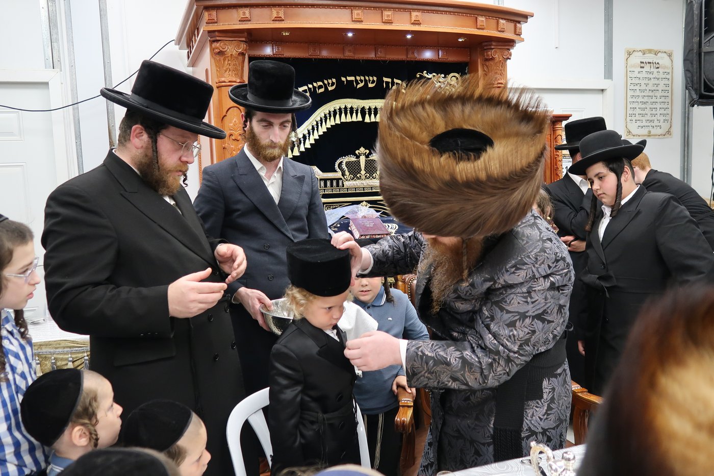 הילולא וחלאקה במיאלען