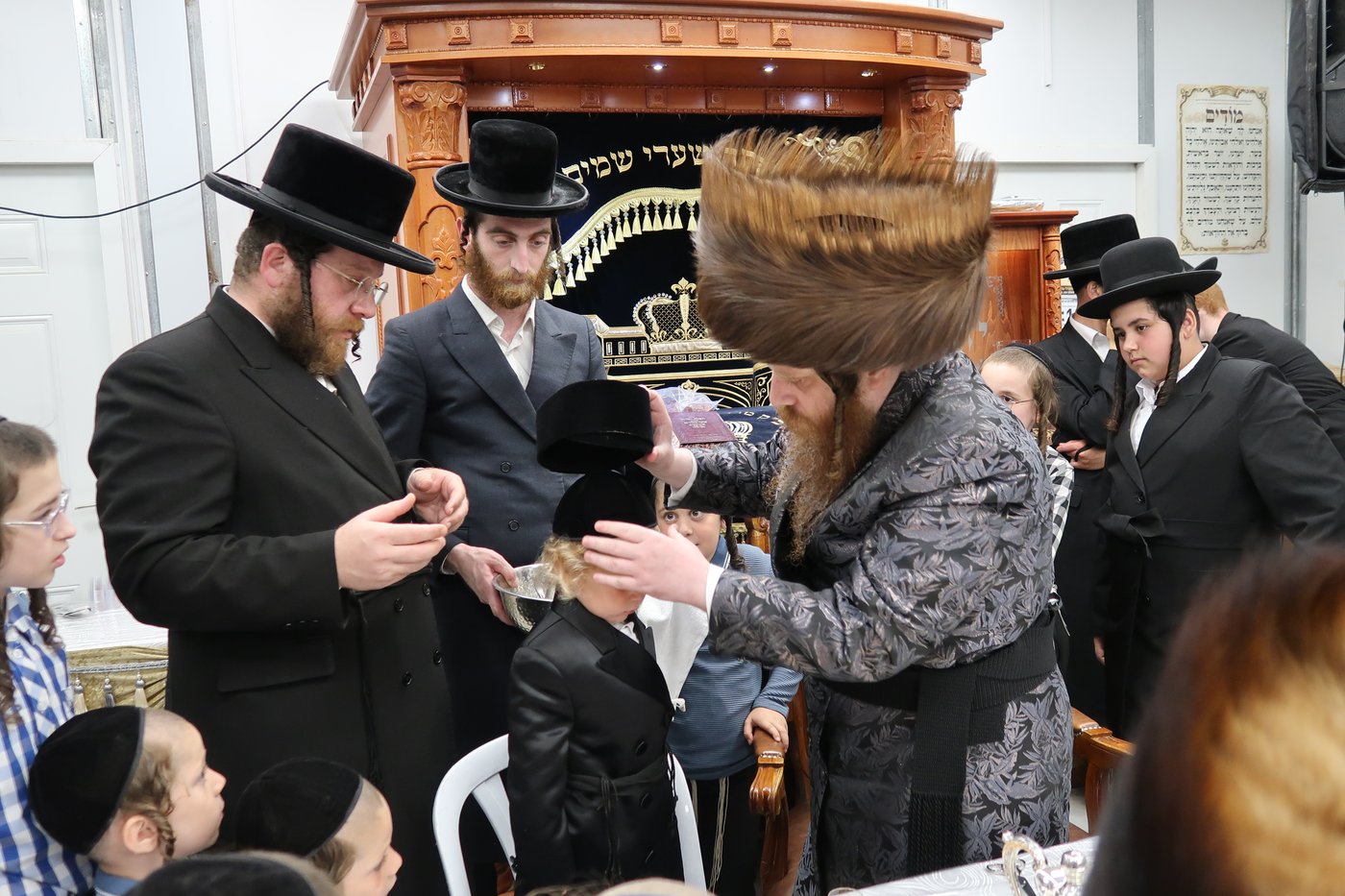 הילולא וחלאקה במיאלען