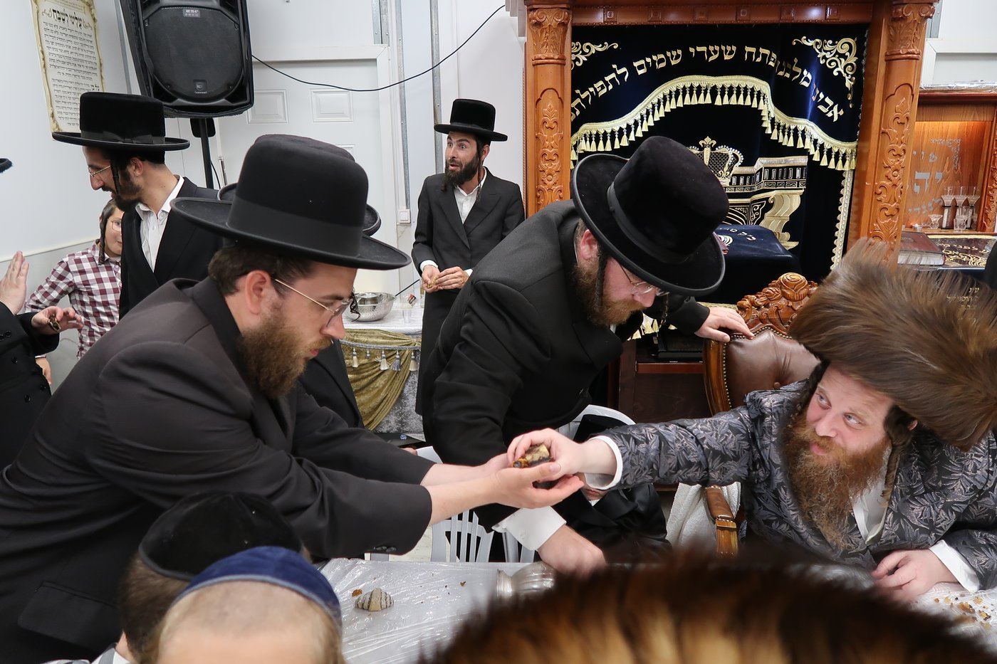 הילולא וחלאקה במיאלען