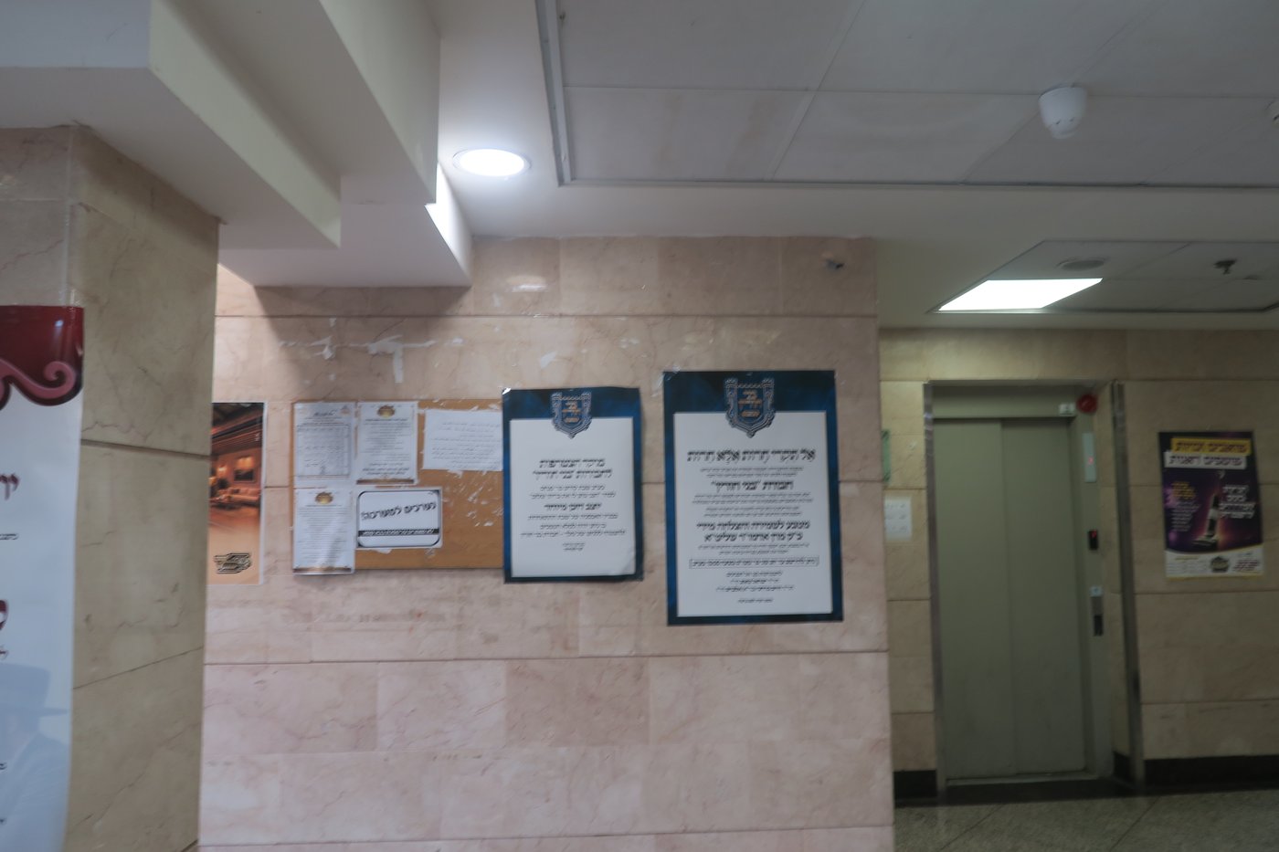 שבת התאחדות לאברכי נדבורנה במודיעין עילית