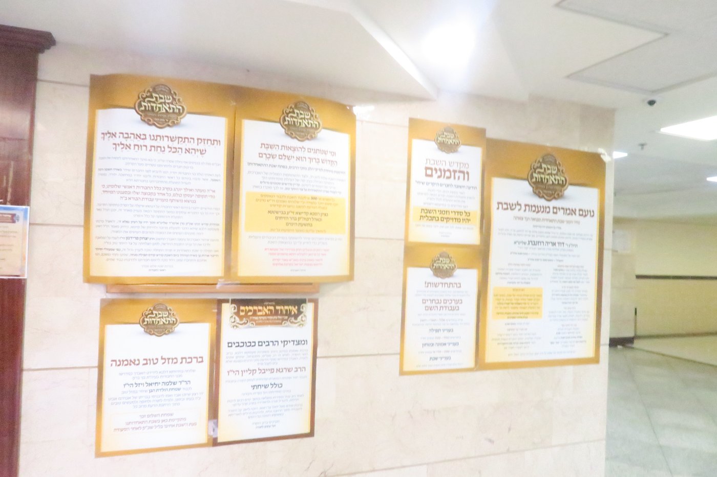 שבת התאחדות לאברכי נדבורנה במודיעין עילית